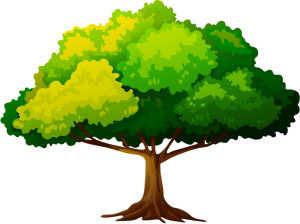 arbre